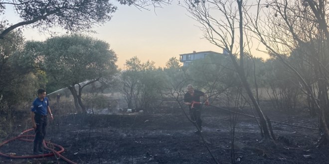 Mangal ateşi 2 dönümdeki ağaç ve çalılıkları yaktı