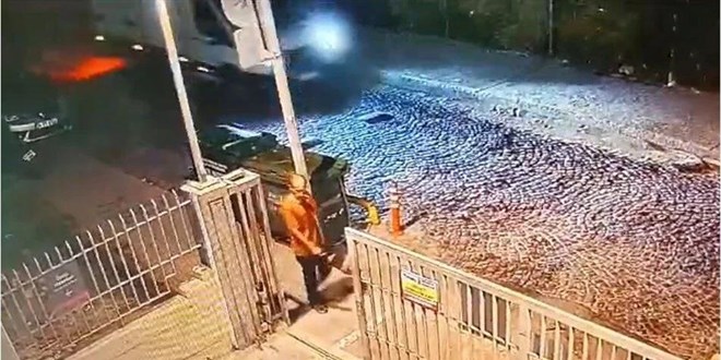 Köpeklerin öldürdüğü Özçelik'in hastane raporunda dehşetin izleri