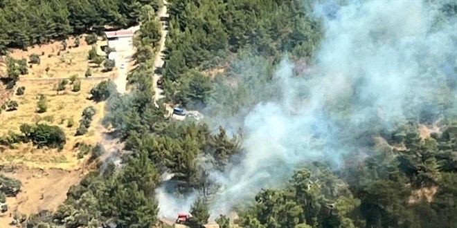 İzmir'de orman yangını