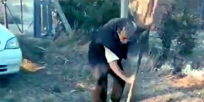 Ankara'da kan donduran vahşet: Yavru köpeği dirgenle öldürdü