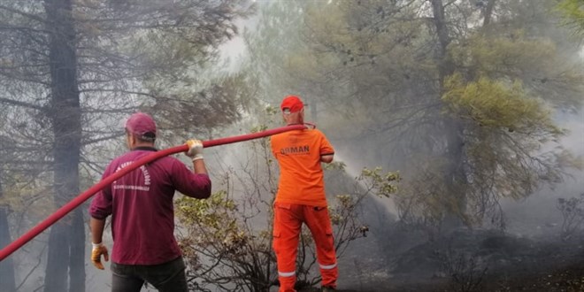 18 saatte söndürülen yangında 15 hektar kızılçam ormanı yandı