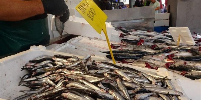 Palamuttan sonra hamsi de tezgahlardaki yerini aldı: Kilosu 200 TL