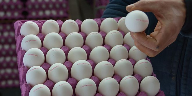 Yumurtalar üzerindeki numaralara dair açıklama