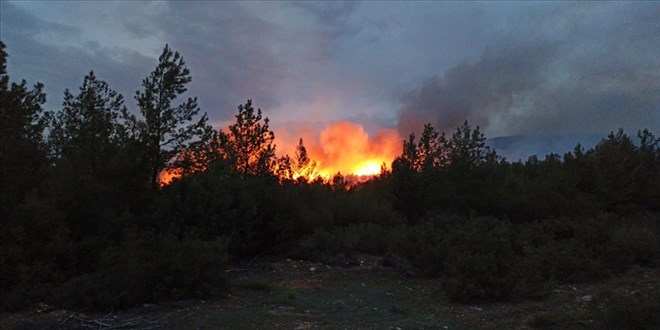 Mu�la'daki orman yang�n� 2. g�n�nde devam ediyor