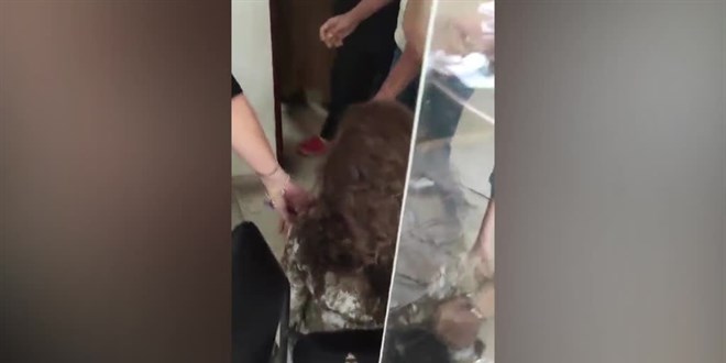 Anne, oğluna rapor vermeyen aile hekimini hastanelik etti