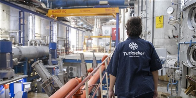 Türkşeker fabrikalarına 1350 geçici işçi alacak