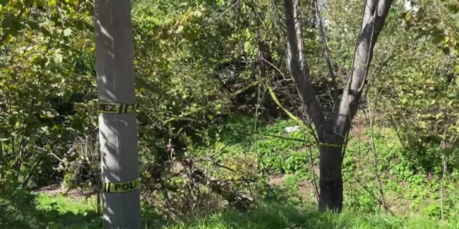 Zonguldak'ta domuz sanılarak vurulan kadın öldü