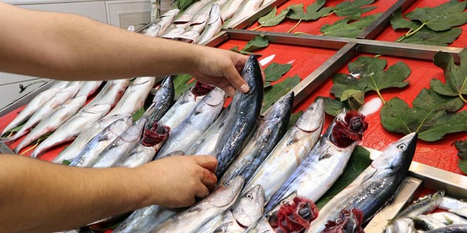 İstanbul'da tezgahlar 7 bin 500 ton balıkla buluştu