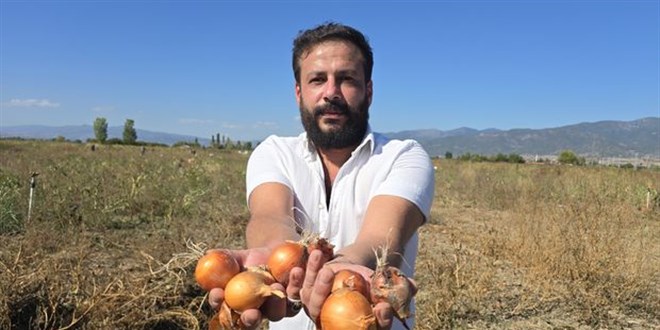 Tokatlı çiftçi 500 ton soğanı ücretsiz dağıttı