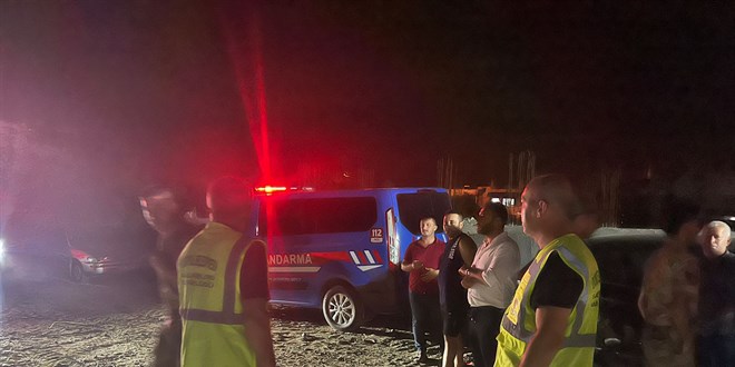 Hatay'da 11 köpek ölü bulundu