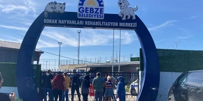Gebze Belediyesi: Tesisimizden 75 hayvan kaçırıldı, mamalar gasp edildi
