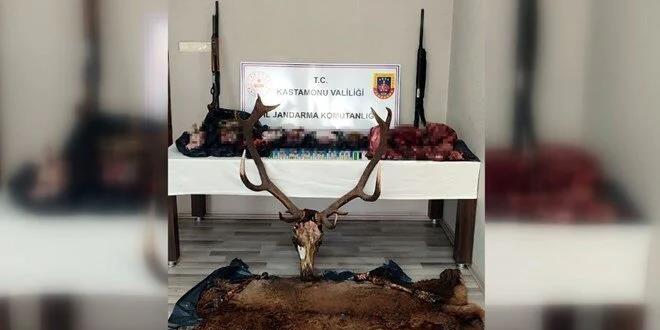 Geyik avcılarına binlerce liralık ceza