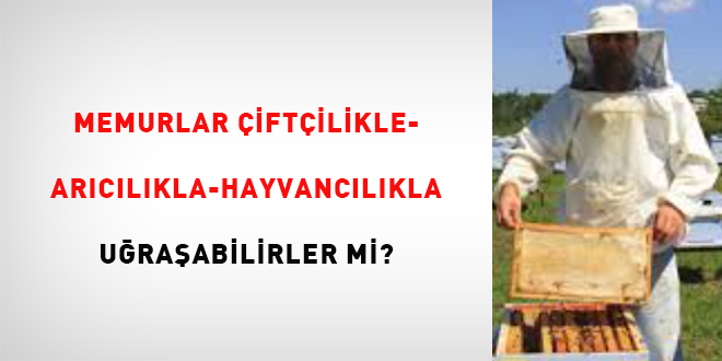 Memurlar çiftçilikle-arıcılıkla-hayvancılıkla uğraşabilirler mi?