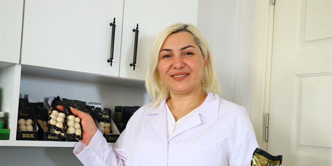 Peyniri kurutup ABD'ye ihraç ediyor