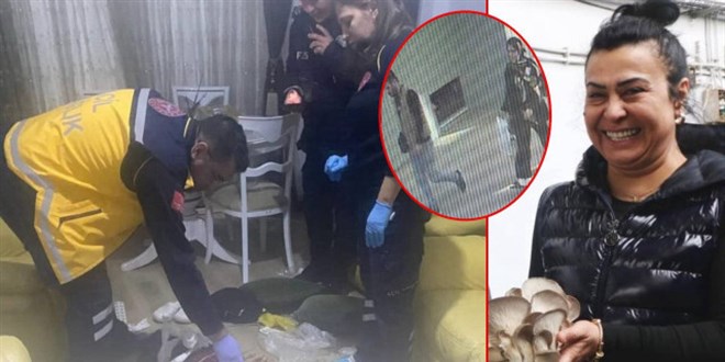 Yalova'da vahşi cinayet: Kadın girişimci domuz bağıyla öldürüldü
