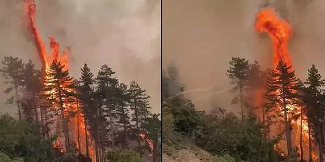 Denizli'deki orman yangınıyla ilgili soruşturma sürüyor