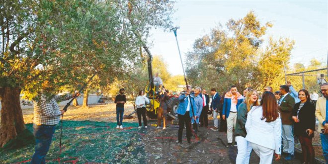 Zeytinyağı fiyatı yüzde 20 düşecek