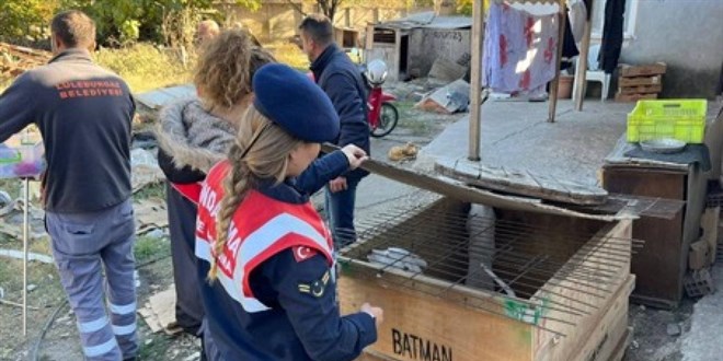 Yasaklı ırk köpek besleyen kişiye 317 bin lira ceza