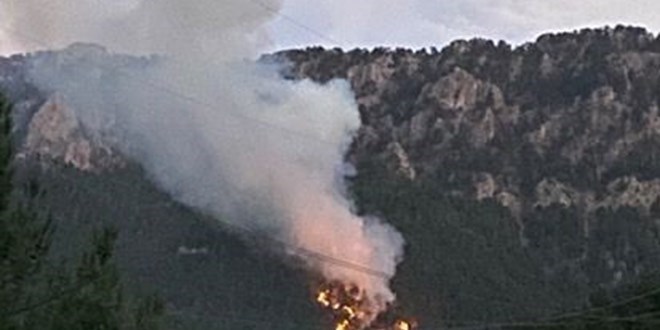 Pozantı'da orman yangını