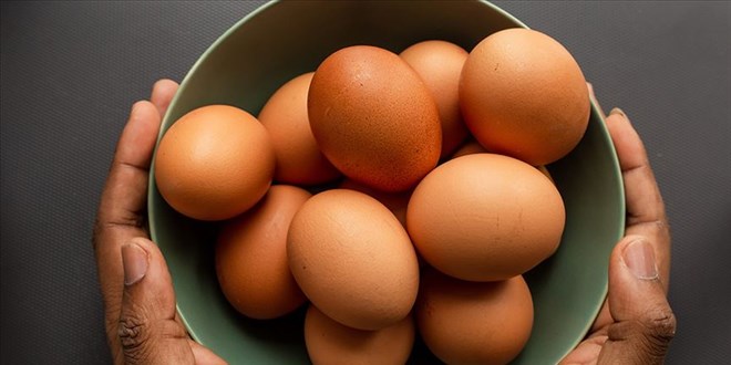 Kuş gribi zam yumurtladı! Bakanı Yumaklı bile isyan etti