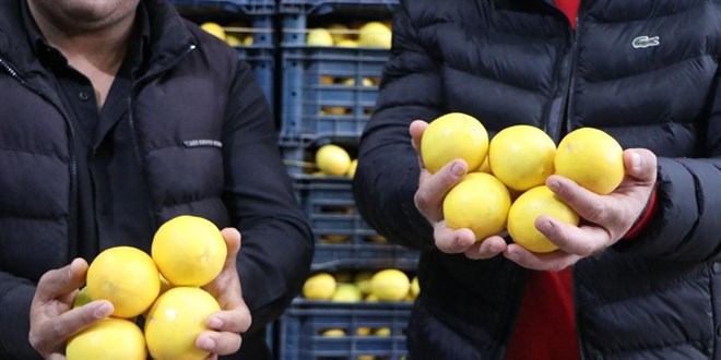 Limonda marketlerdeki fiyatlar 30 lirayı geçti!