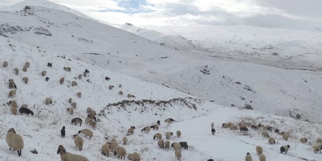 Farain Yaylas'nda kar kalnl 10 santimetreye ulat