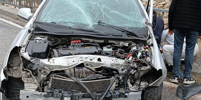 Köprü korkuluklarına çarpan otomobildeki anne öldü