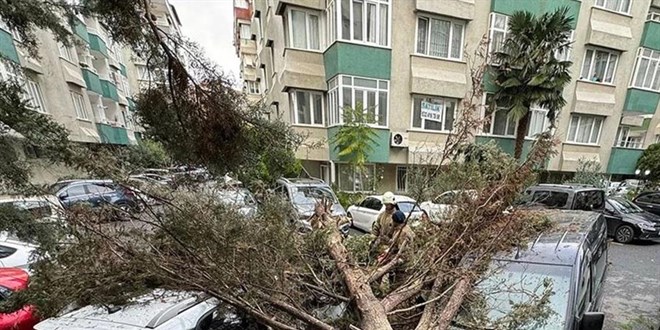 AKOM, İstanbul'daki fırtınanın bilançosunu açıkladı