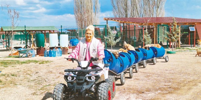 Mamazadeler soruşturmayı duyunca boşanmış