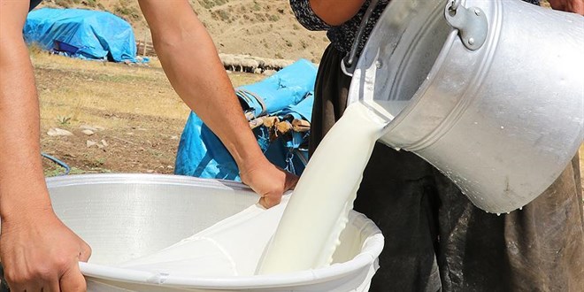 Çiğ süt fiyatına 1 Ocak'tan itibaren zam geliyor