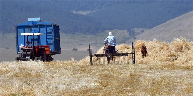 Çiftçilere 331,2 milyon lira tarımsal destekleme ödemesi yapılacak