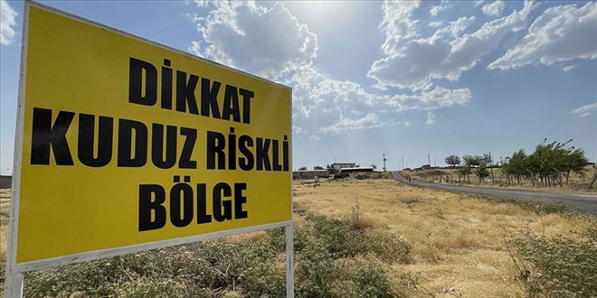 Adıyaman'da bir köy kuduz nedeniyle karantinaya alındı