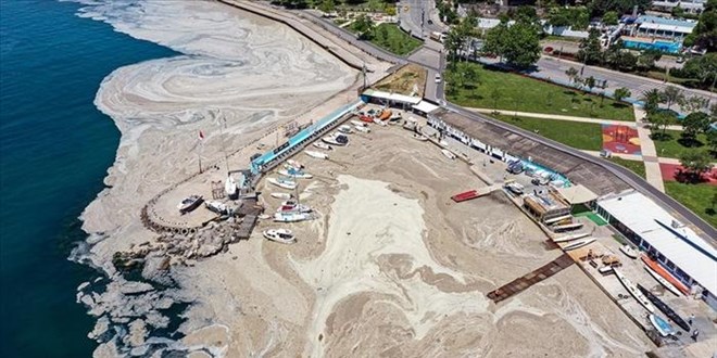 Uzmanlardan uyarı: Marmara Denizi'nde yeniden müsilaj alarmı!