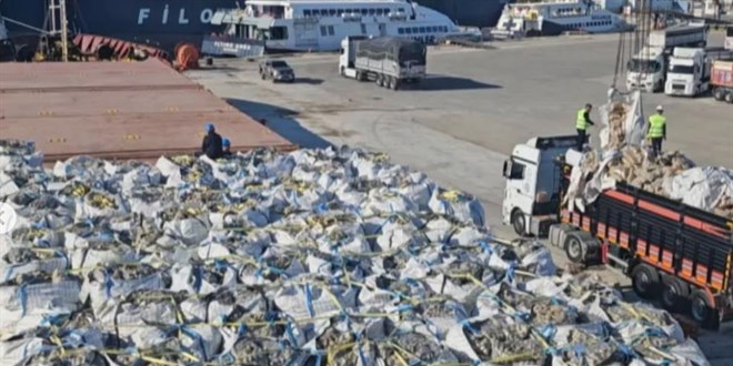 Mersin'de 2.500 ton patatesin imhası devam ediyor