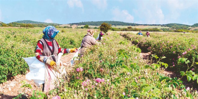 Bir milyonu aşkın üreticiye finansman
