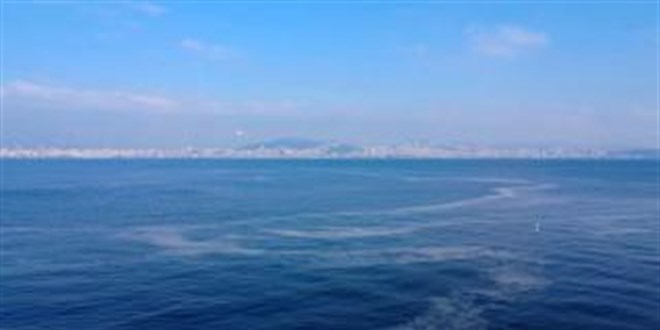 Marmara Denizi'nde müsilaj yeniden görüldü
