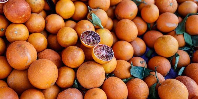 3 il narenciye ihracatının lokomotifi durumunda