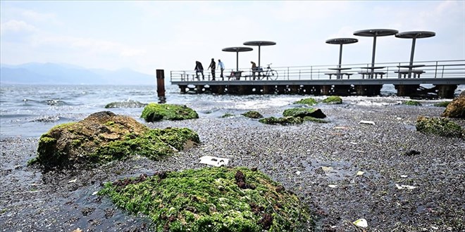 İzmir Körfezi'ndeki kirliliğe neden olan sorumlulara soruşturma