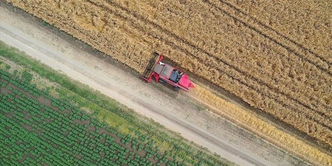 TZOB: Gübre fiyatları son bir ayda yüzde 10 arttı
