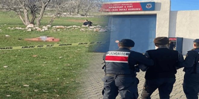 Saldırdıkları kadını öldürdüler: Köpeklerin sahibine verilen ceza belli oldu