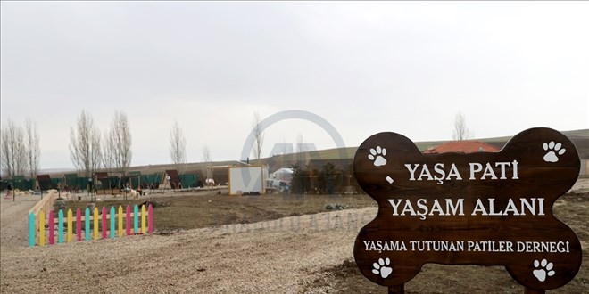 Yaşama Tutunan Patiler Derneği hakkında kapatma talebi