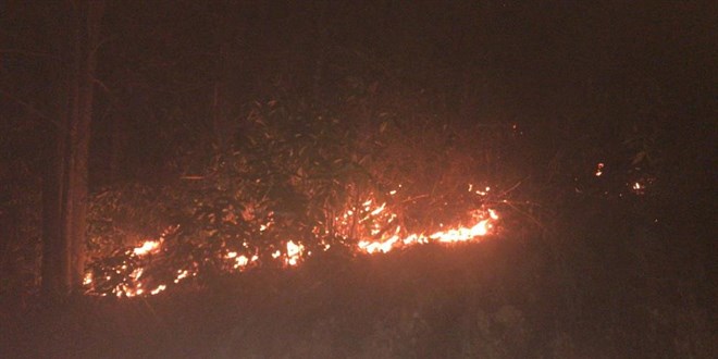 Rize'de orman yangını: Söndürme çalışmaları sürüyor