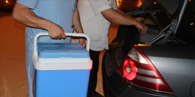 Karaciğerini sattı, parasını alamadı!