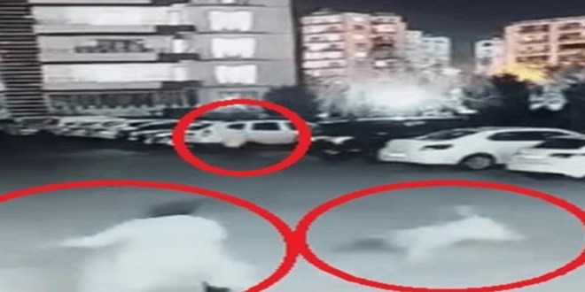 Siteye giren sokak köpeği, anne ve çocuğuna saldırdı