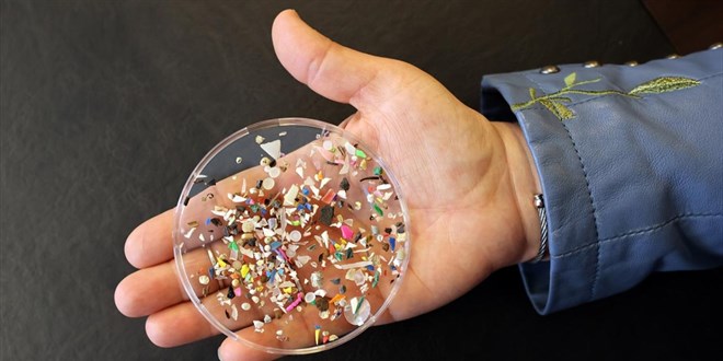 İnsan beynindeki mikroplastik oranı hızla artıyor