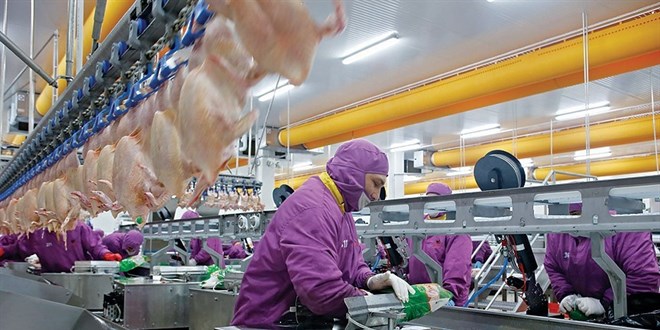 AB'ye Türk tavuk döneri yedireceğiz