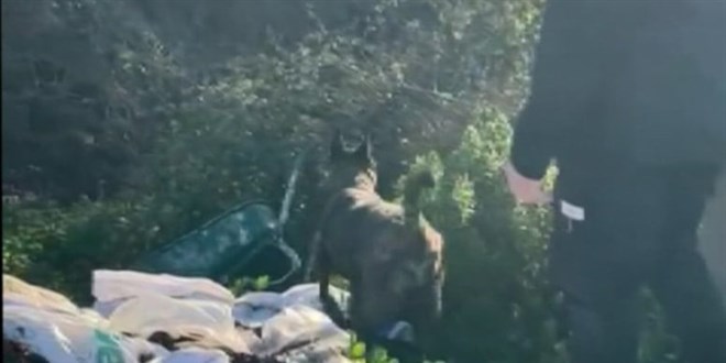 Kayıp iş insanının korkunç sonu: Katil tandık çıktı