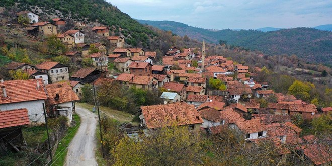 Türkiye'de şehirleşme artıyor, kırsal nüfus azalıyor