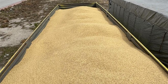 Çalıştığı iş yerinden 250 ton arpa çaldı