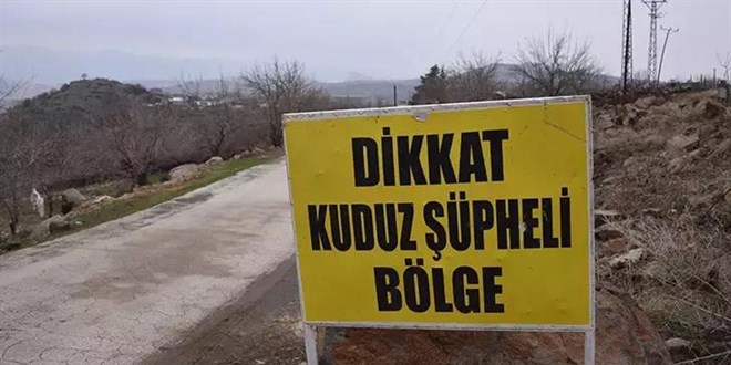 3 kişiyi ısıran köpek kuduz çıktı, mahalle karantinaya alındı